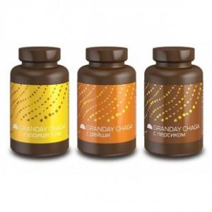 Granday chaga proactive 135 брикетов Концентрат для приготовления напитка на основе чаги  Granday chaga proactive 135 брикетов Концентрат для приготовления напитка на основе чаги